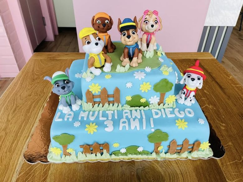Tort pentru copii, HoHa Delicii