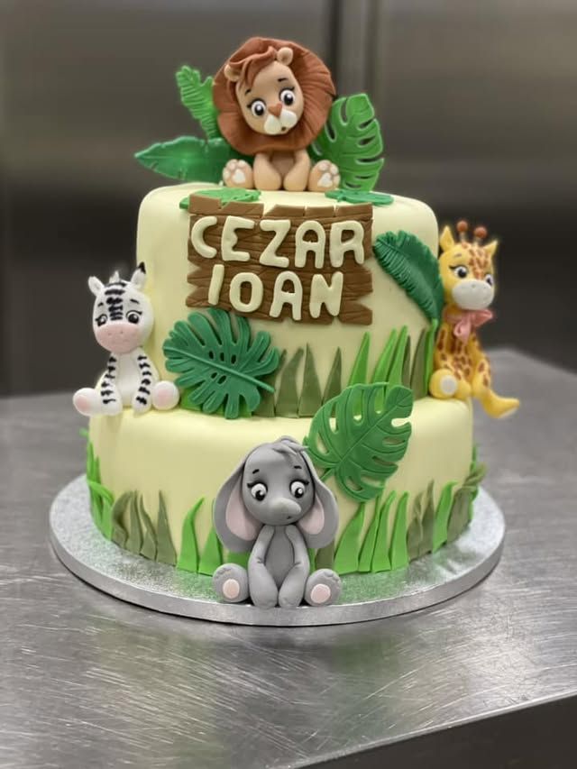 Tort pentru copii, HoHa Delicii