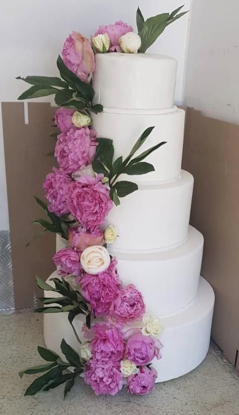 Tort de nuntă sau botez, HoHa Delicii